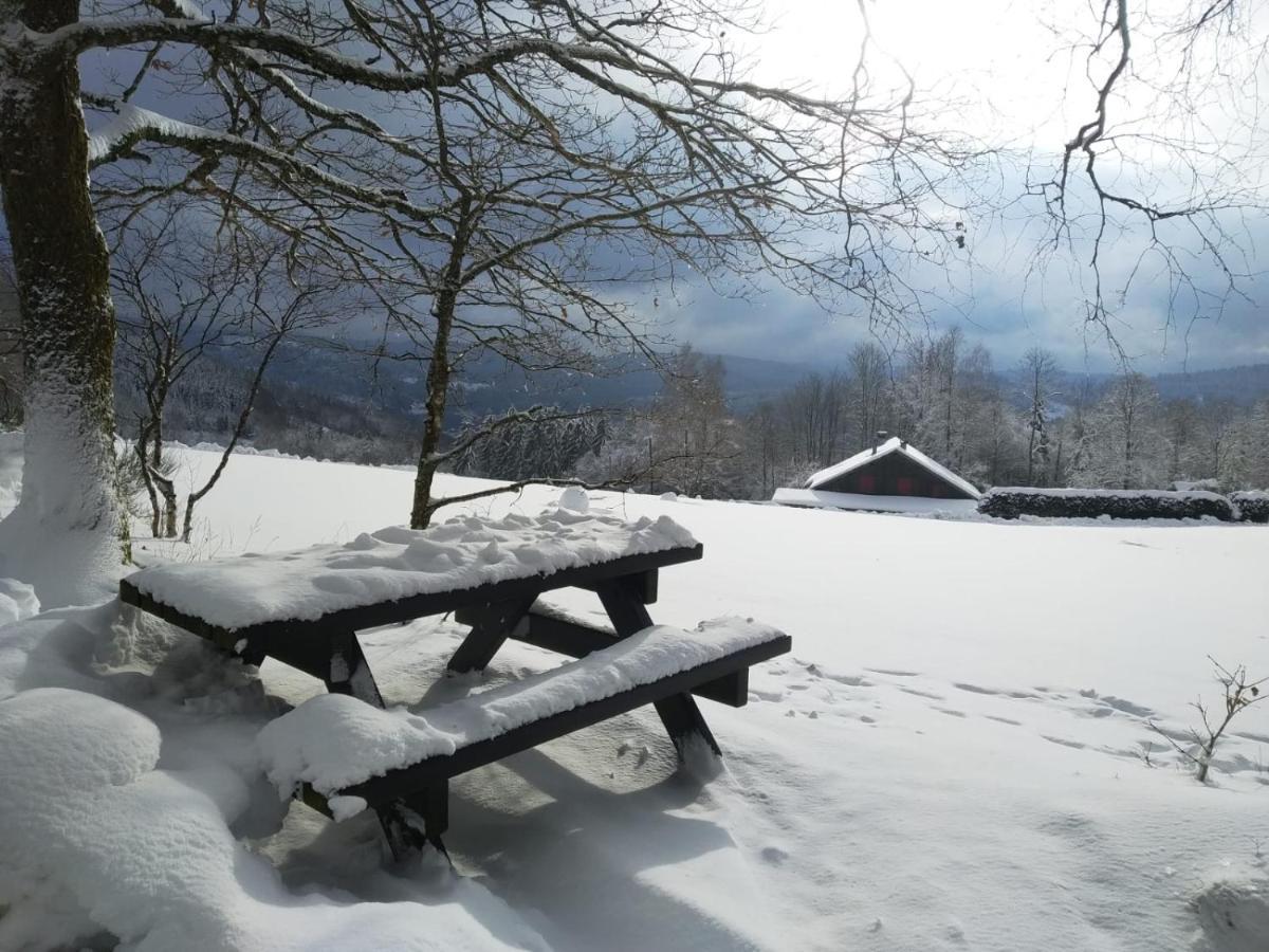 Chalet Individuel - Panoramique Montagnes & Proche Lac Ла-Бресс Екстер'єр фото