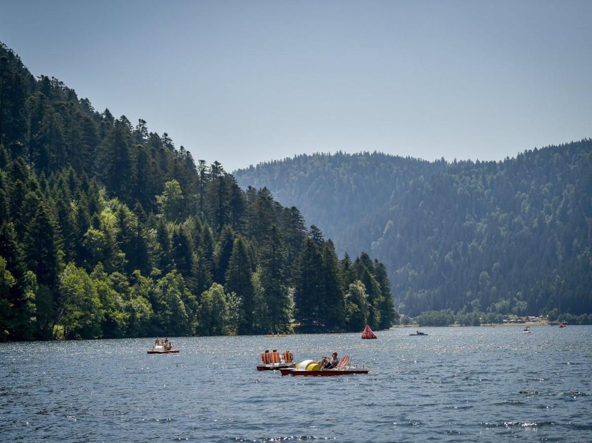 Chalet Individuel - Panoramique Montagnes & Proche Lac Ла-Бресс Екстер'єр фото