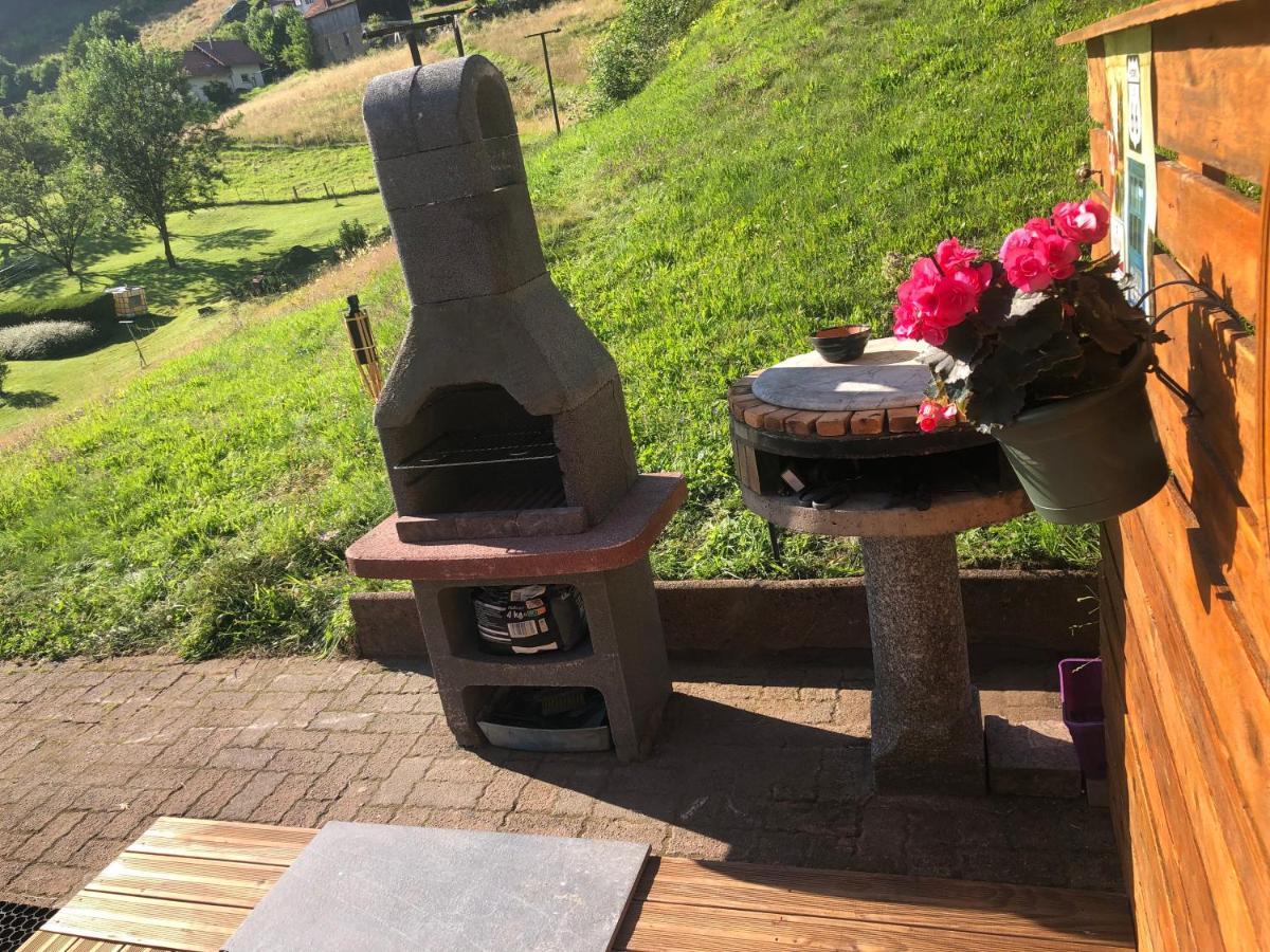 Chalet Individuel - Panoramique Montagnes & Proche Lac Ла-Бресс Екстер'єр фото